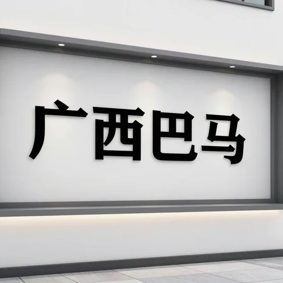 广西巴马实用指南